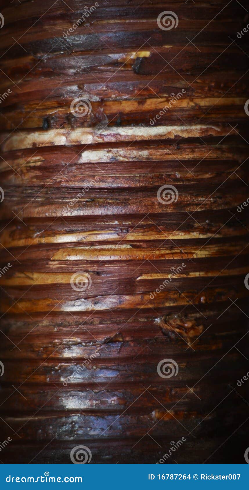 Stained bamboo texture stock photo. Image of organic 16787264