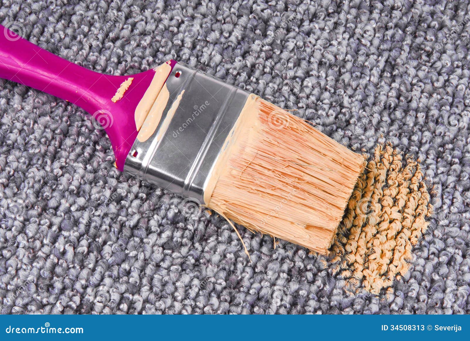 Stained Carpet with Paint Brush Stock Image Image of interior, brush