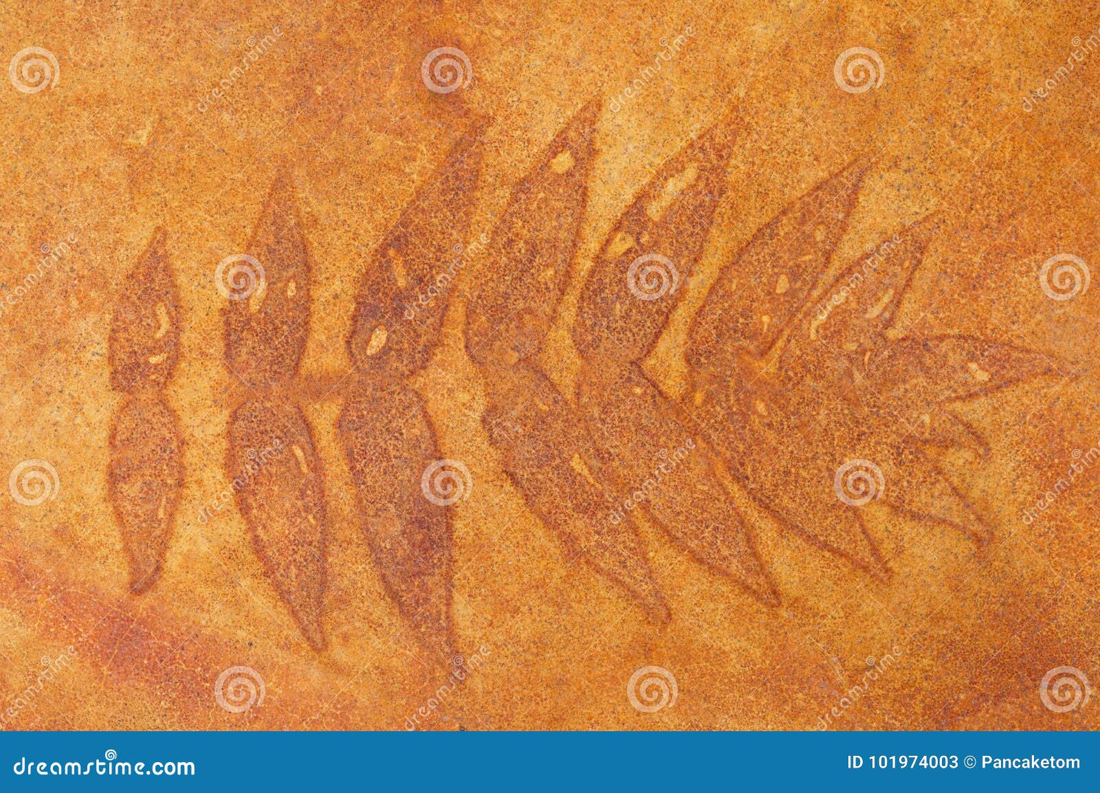 Stained Concrete Leaf Pattern Stock Image Image of iron, background 101974003