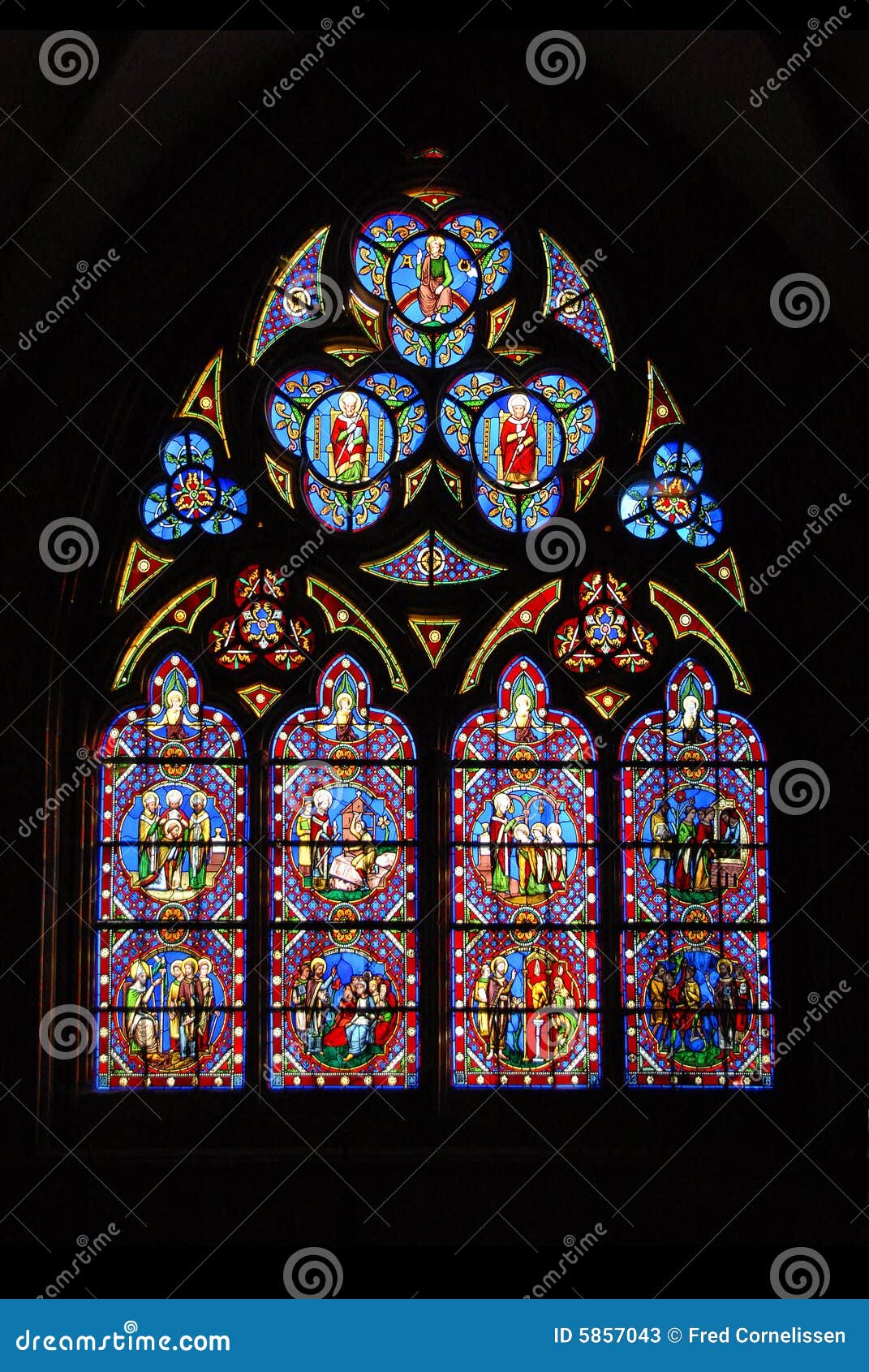 Stained Glass Of Chartres Cathedral In France Stock Image