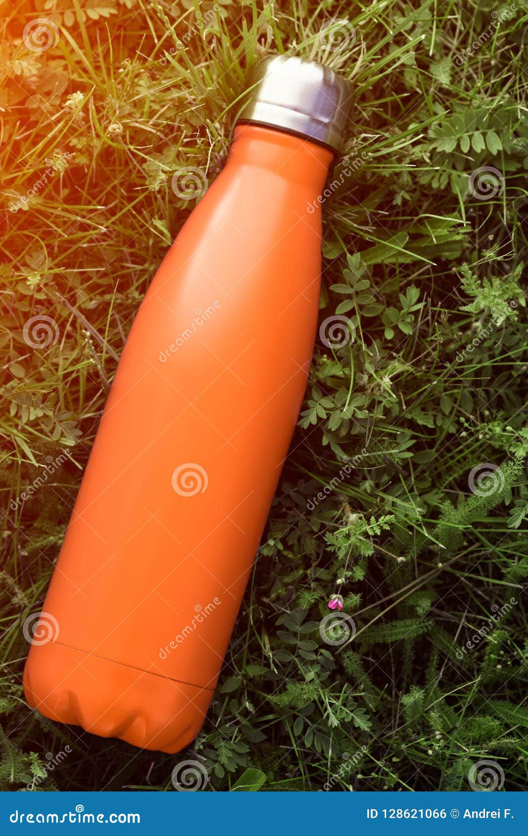 Download Stainless Thermos Water Bottle, Matte Orangecolor. Mockup ...