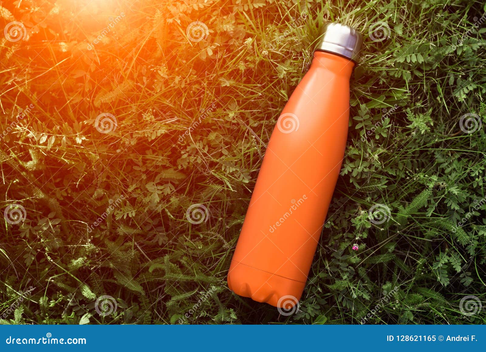 Download Stainless Thermos Water Bottle, Matte Orangecolor. Mockup Isolated On Green Grass Background ...