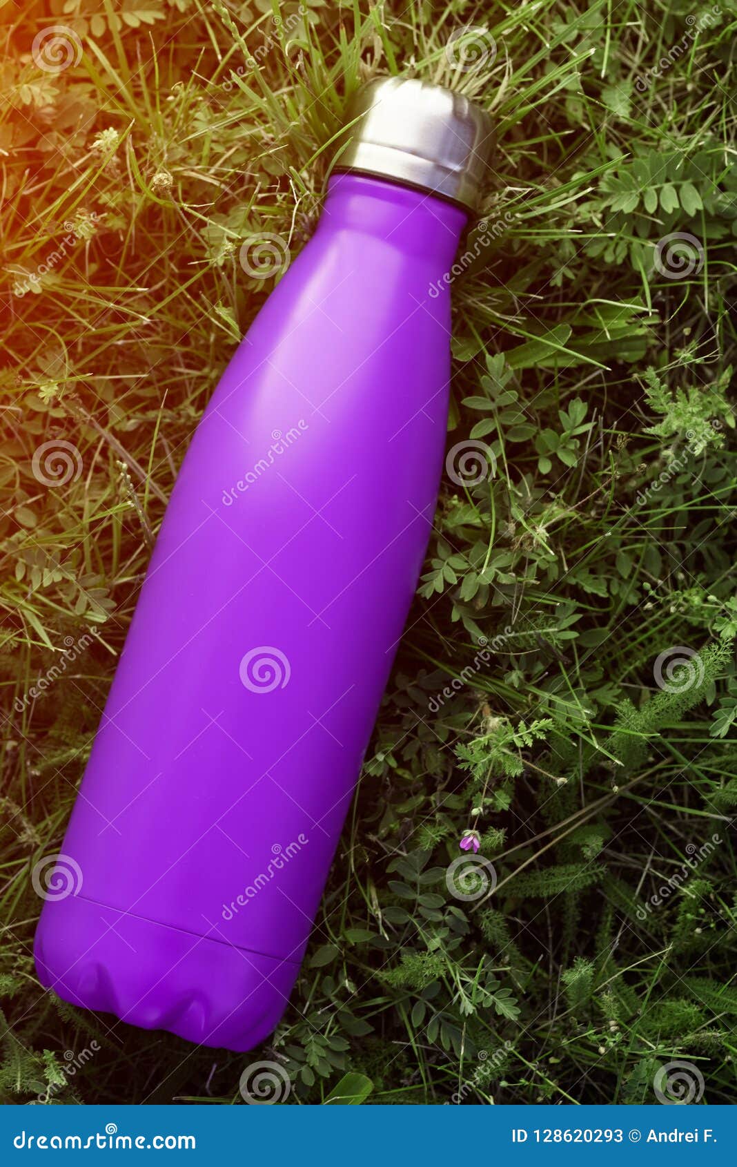 Download Stainless Thermos Water Bottle, Matte Purple Color. Mockup Isolated On Green Grass Background ...