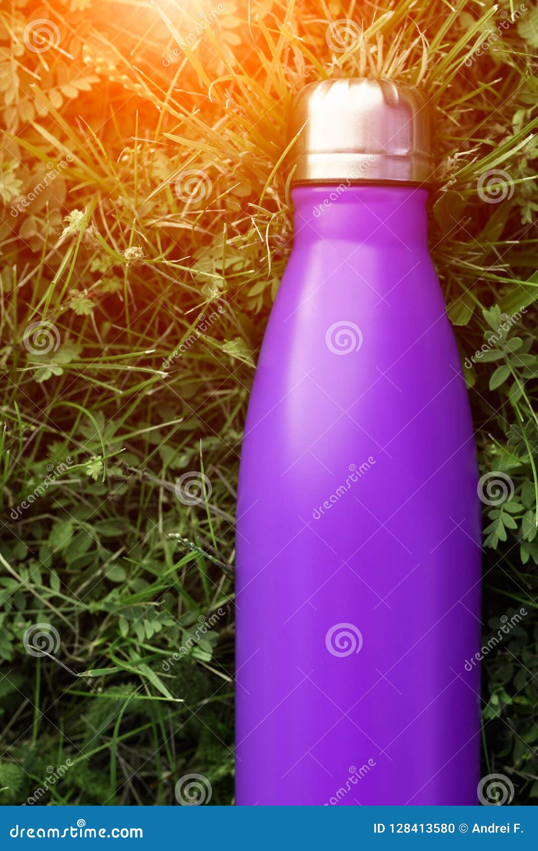 Download Stainless Thermos Water Bottle, Violet Purple Color ...