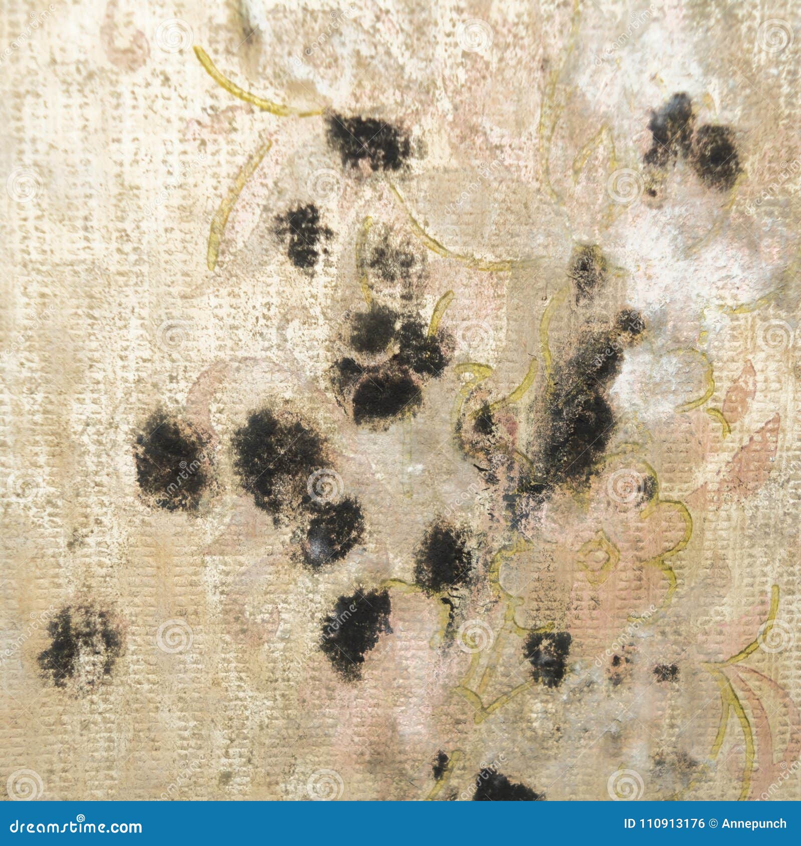 Stains of Black Mold on Old Wallpaper. Close-up Stock Photo - Image of  corner, moldy: 110913176