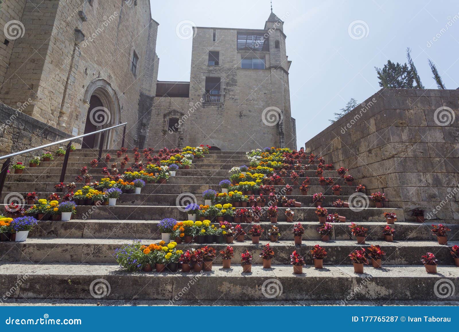 staircase in gothic quarter girona decorated flowers tiempo de flors festival
