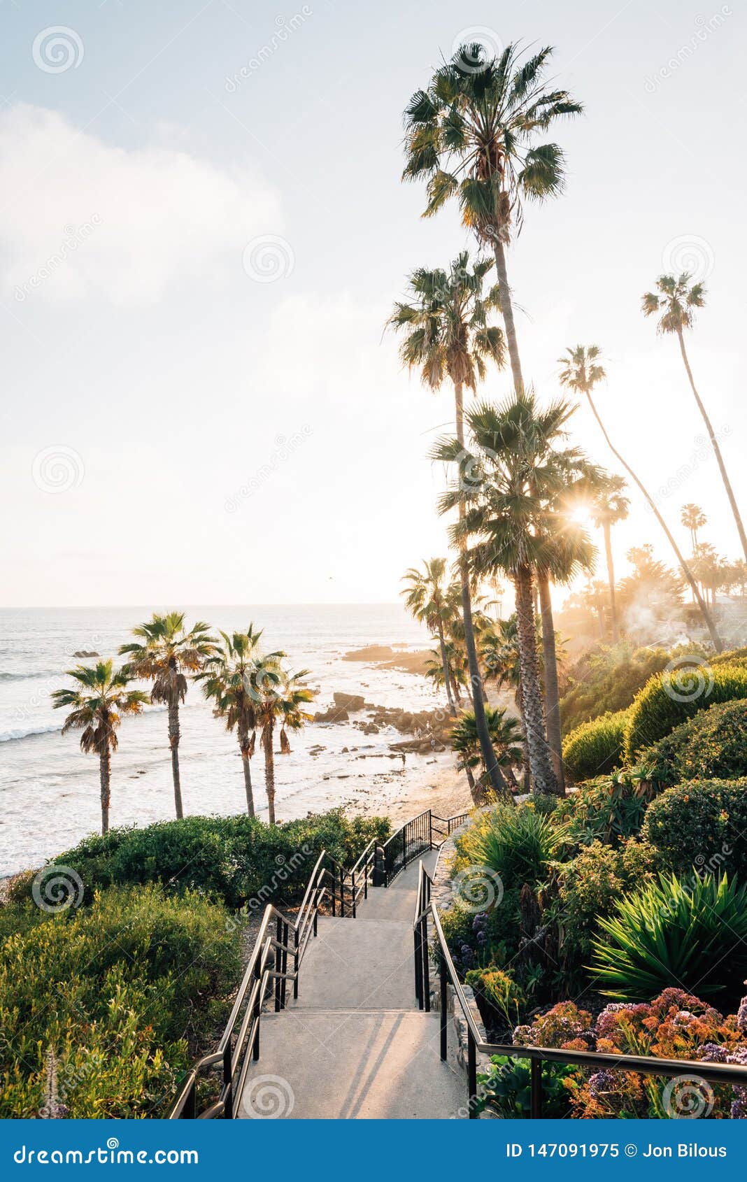 staircase and palm trees at heisler park, in laguna beach, orange county, california