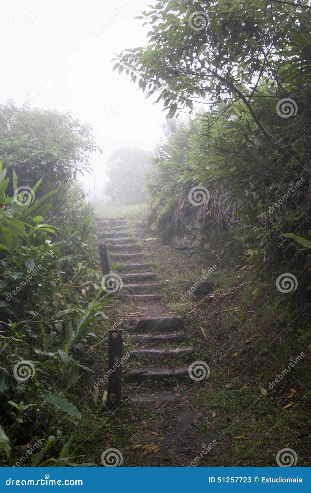 stairs in paranapiacaba, brazil