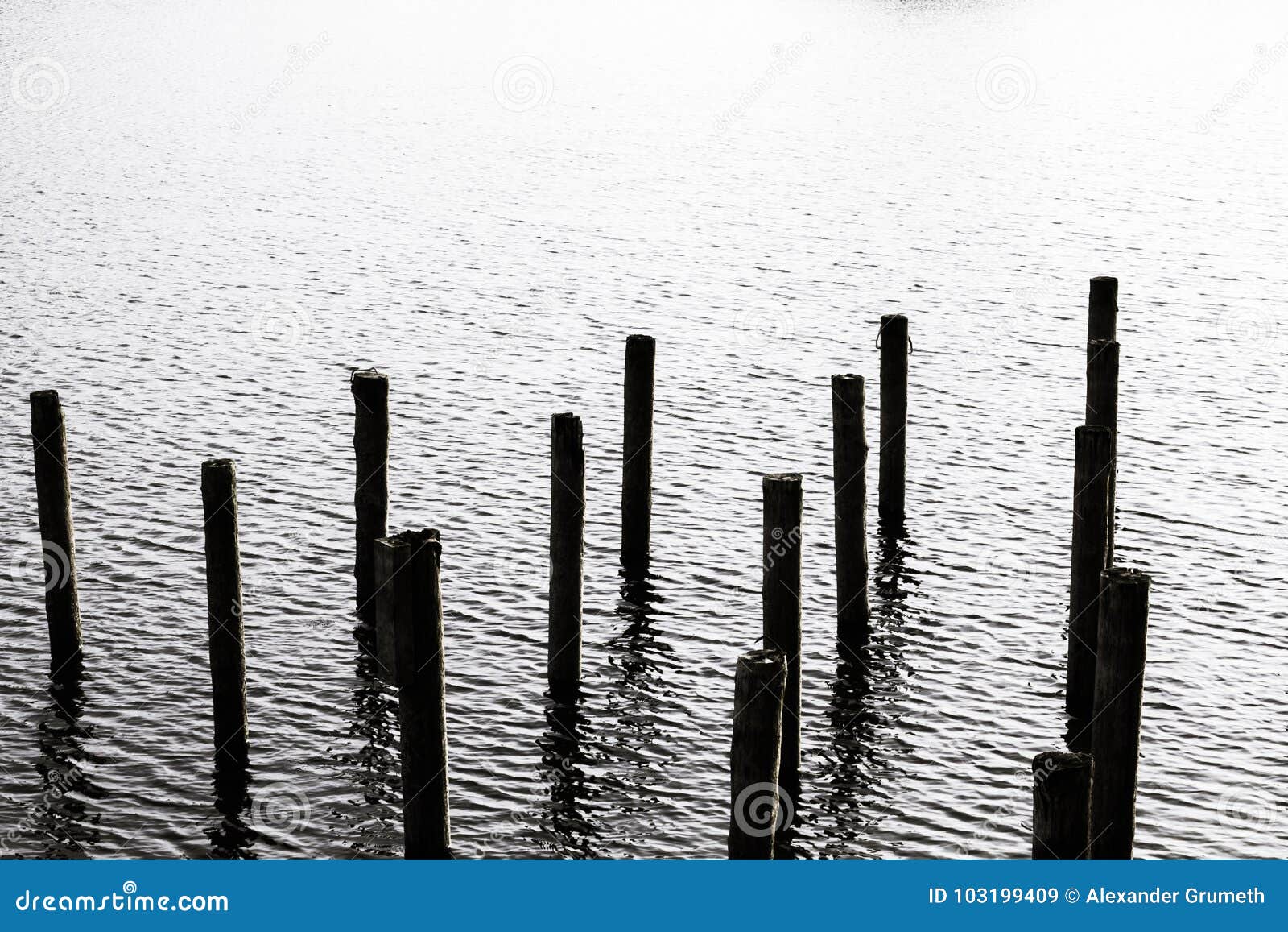 Stakes in the water stock image. Image of pier, rural 103199409