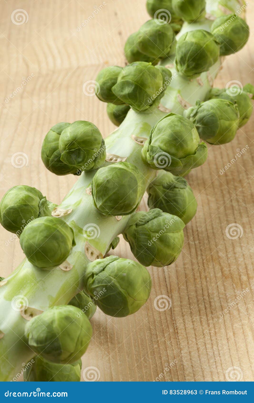 Stalk with Fresh Brussels Sprouts Stock Image Image of vegetarian, vegetables 83528963