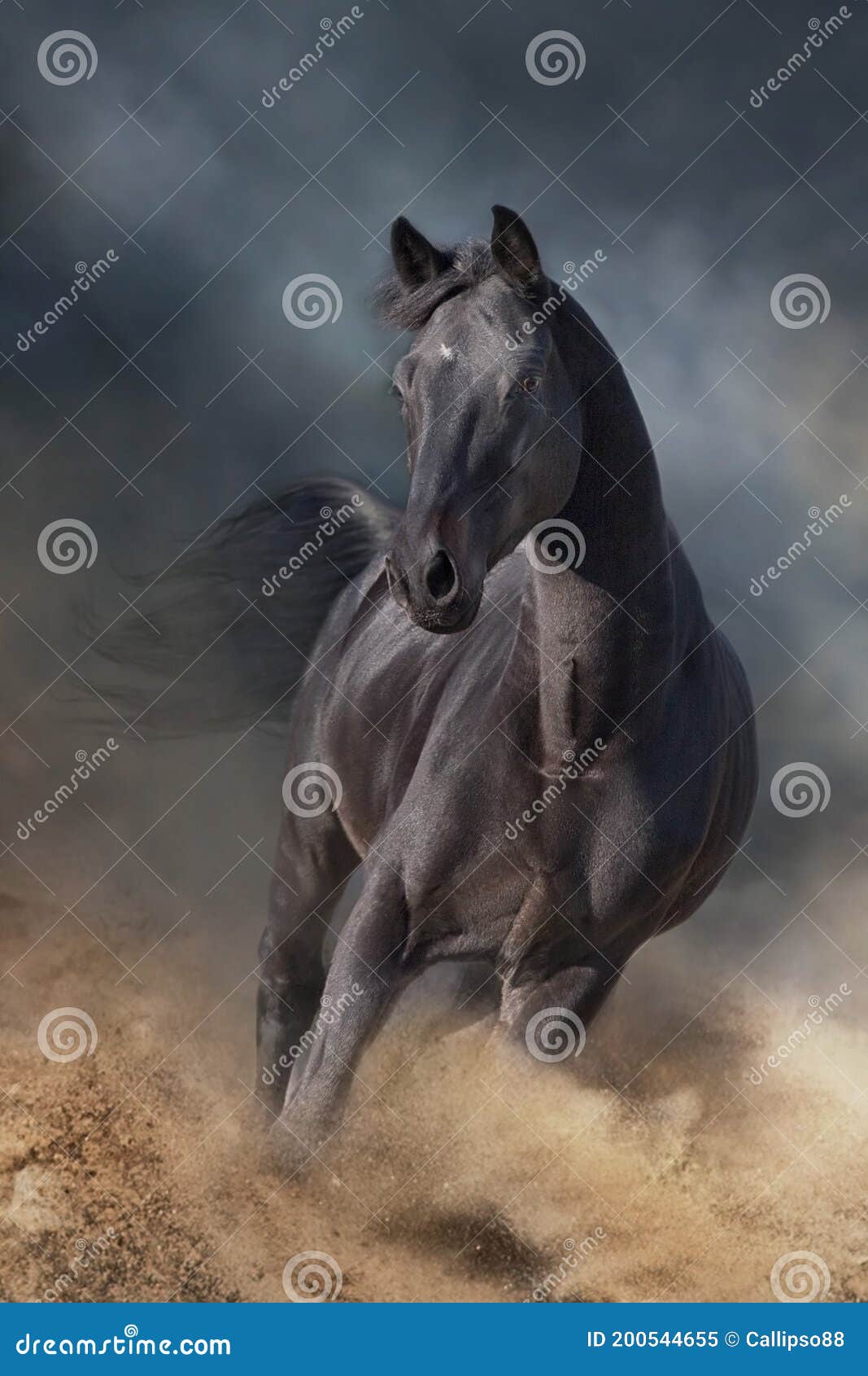 stallion on dark desert storm
