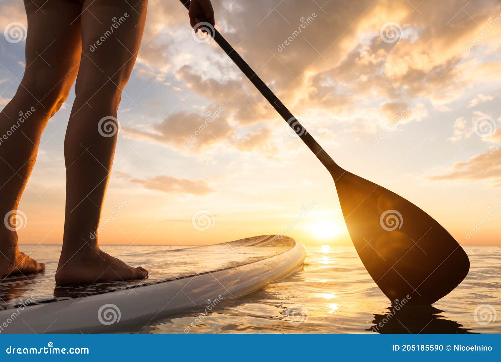 stand up paddle boarding on quiet sea, legs close-up, sunset