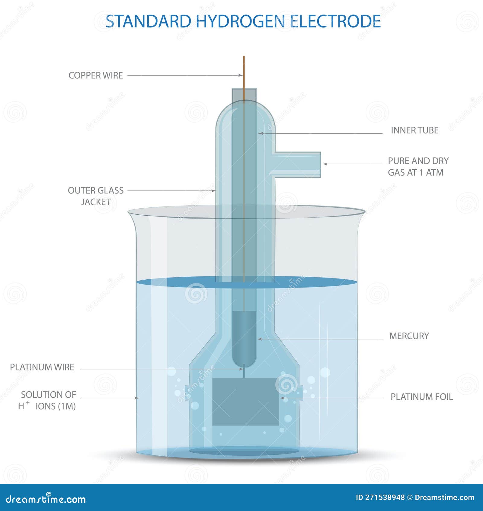 A Standard Hydrogen Electrode (SHE) Is An Electrode That Scientists Use