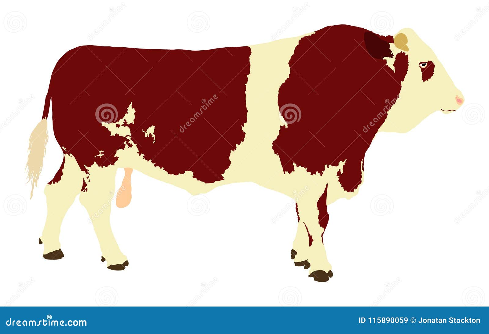 Simmental Percentage Chart