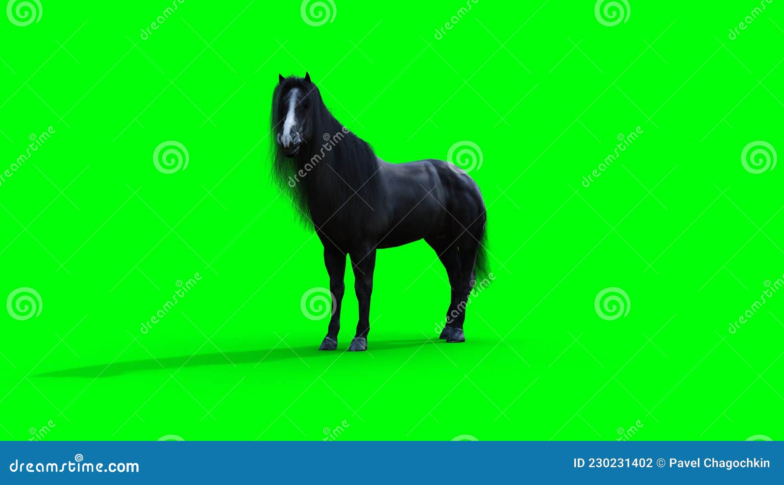 Standing Black Horse. Green Screen Isolate. 3d Rendering. Stock
