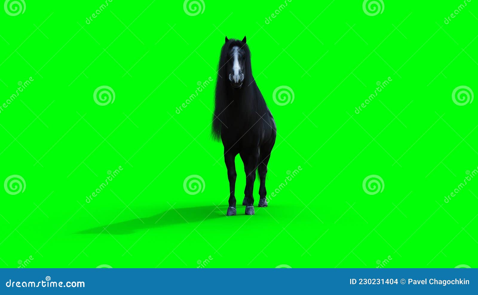 Standing Black Horse. Green Screen Isolate. 3d Rendering. Stock