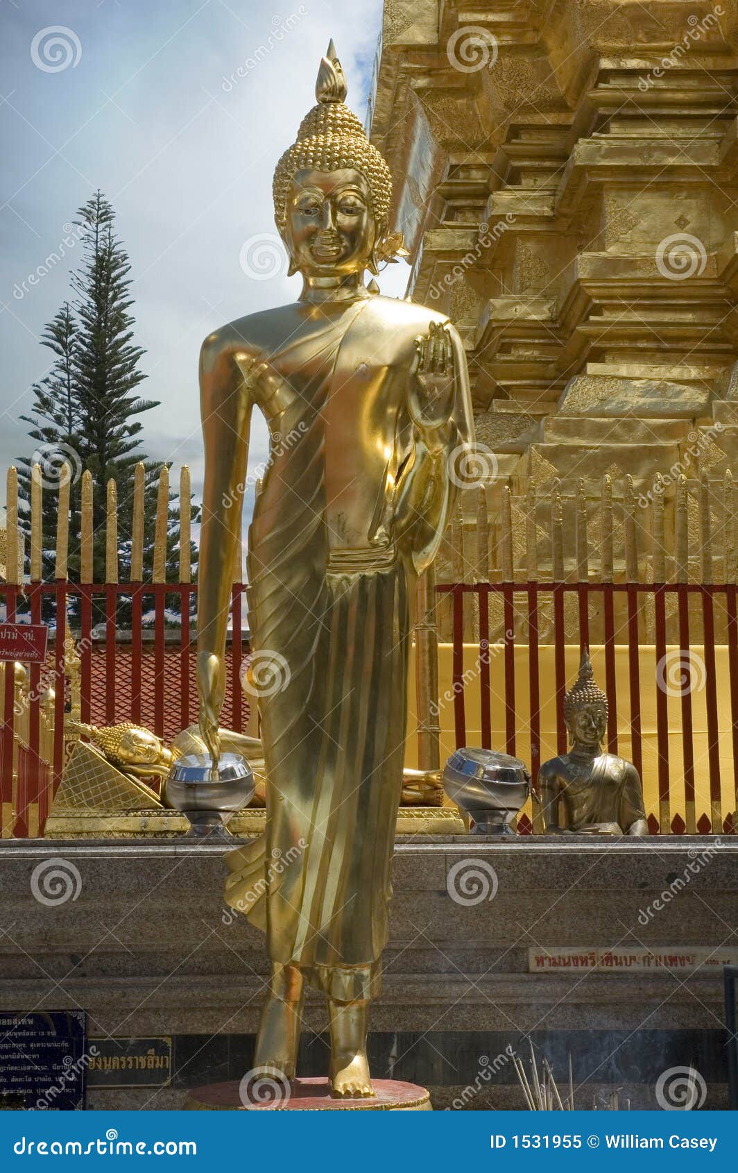 standing buddha in chiang mai