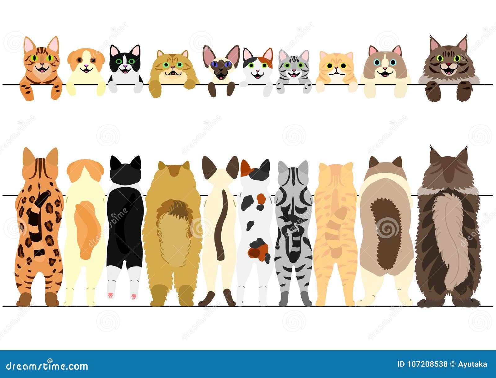 standing cats front and back border set