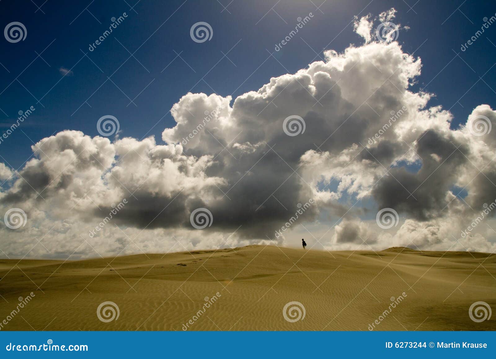 standing in the desert