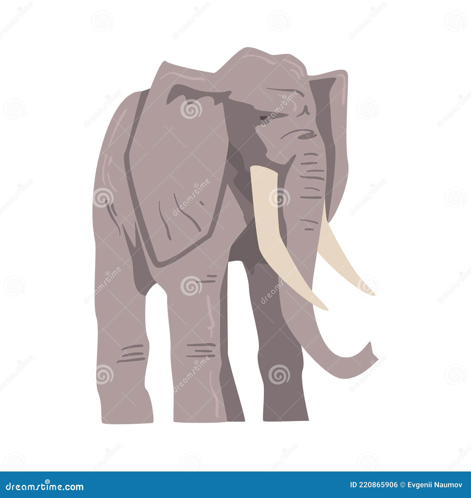 Standing Elephant As Large African Animal with Trunk, Tusks, Ear Flaps and Massive Legs Vector Illustration Stock Vector - Illustration of elephant, pose: 220865906 Standing Elephant As Large African Animal with Trunk, Tusks, Ear Flaps and Massive Legs Vector Illustration Stock Vector - Illustration of elephant, pose: 220865906