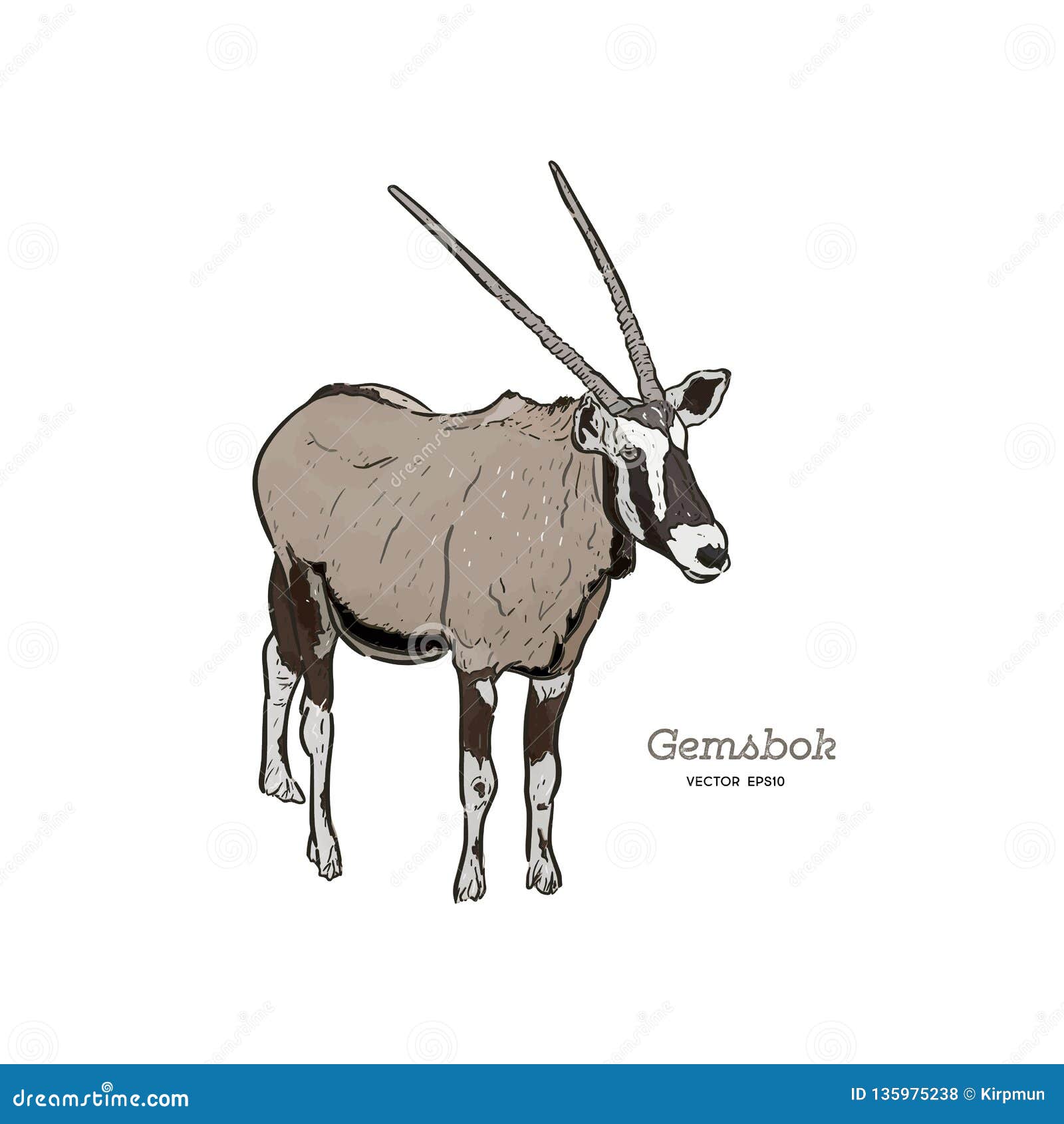 Gemsbok Cartoons, Illustrations & Vector Stock Images - 129 Pictures to