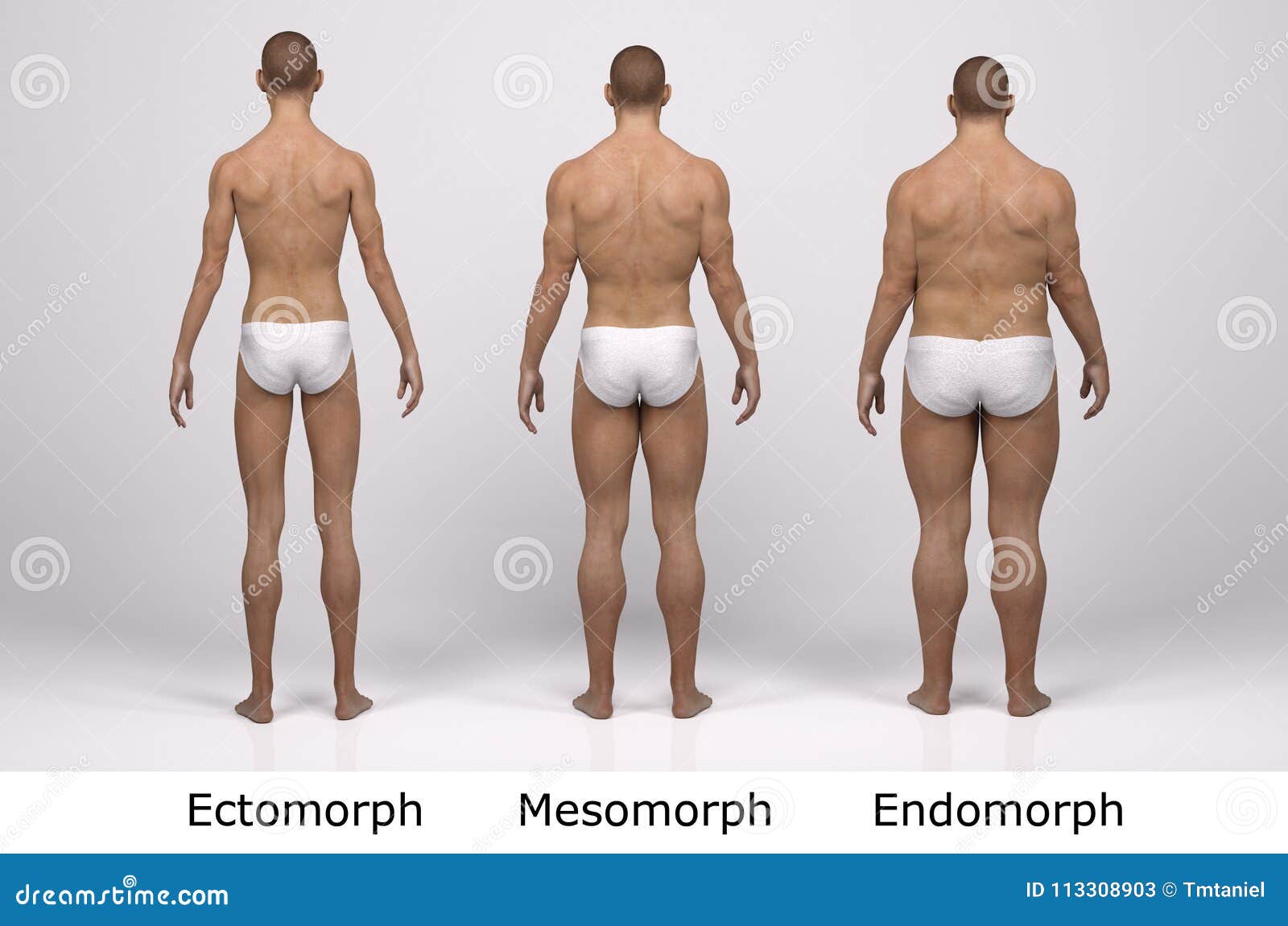 Human body types. Men as endomorph, ectomorph and mesomorph. Stock Vector