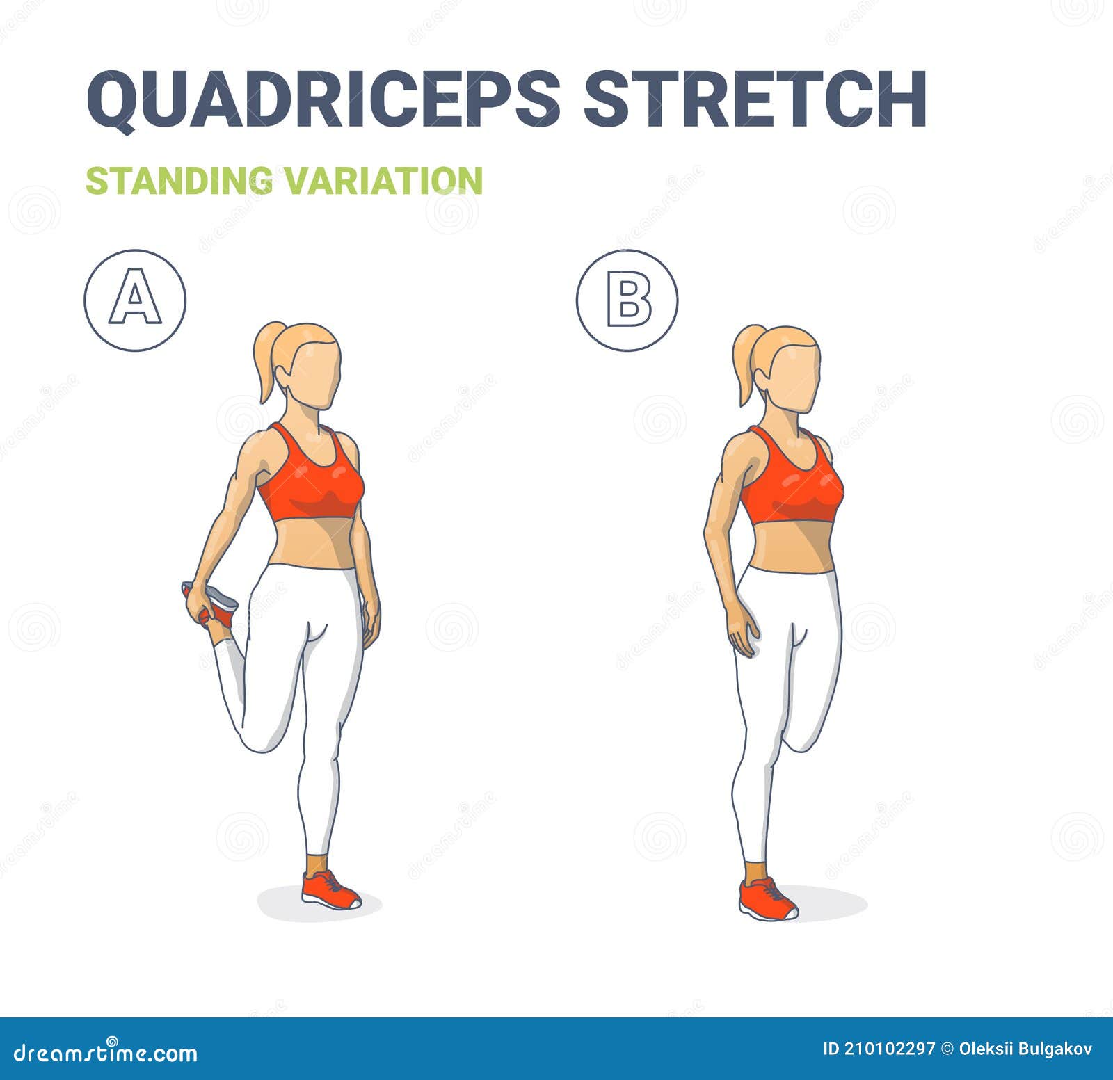 Quadricep Stretch  A Stretching Exercise