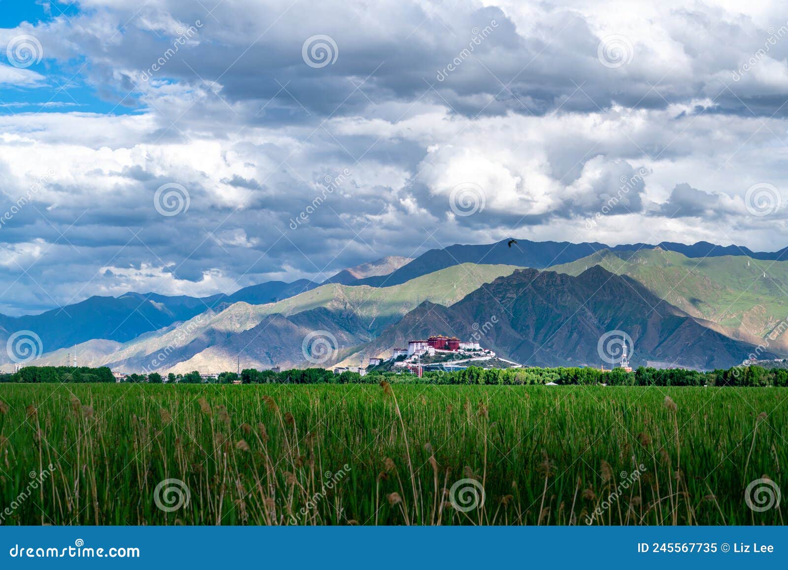 the potala palace, the holy place of tibetan buddhism under the mountains
