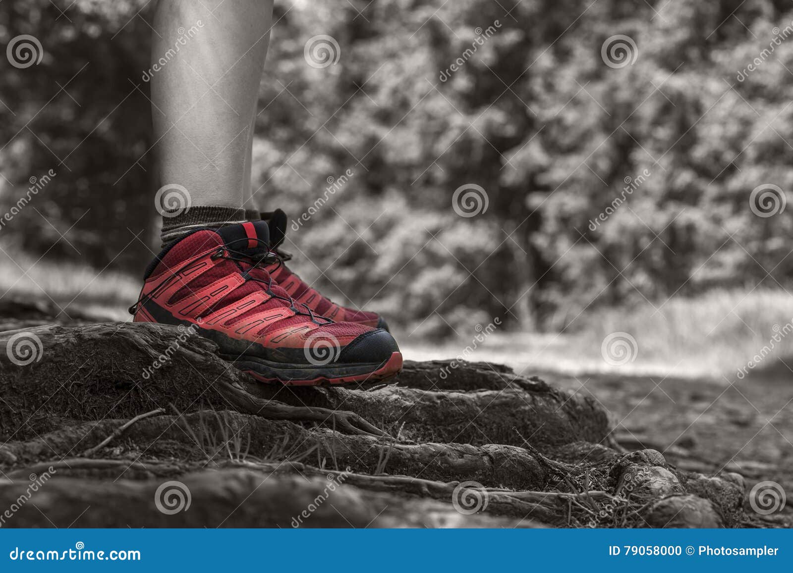 Standing on a Rough Terrain Stock Photo - Image of person, activity ...