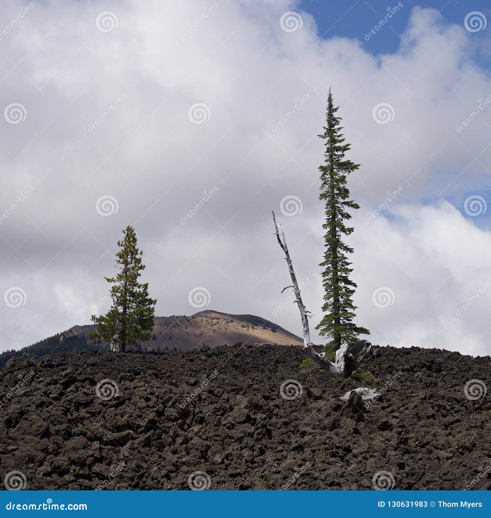 Standing Tall In The Rocks Stock Image Image Of Sunlight