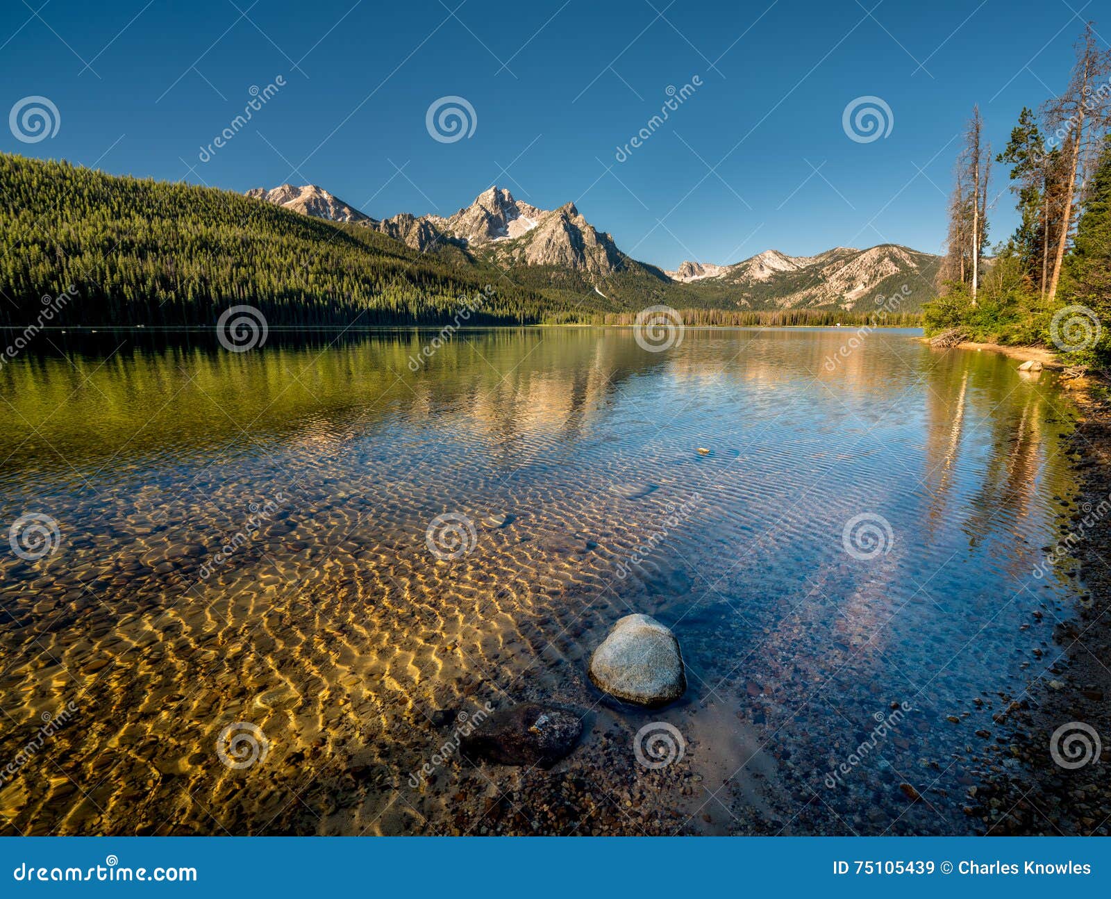 Stanley Lake In Idaho Morning With Reflection Stock Image Image Of