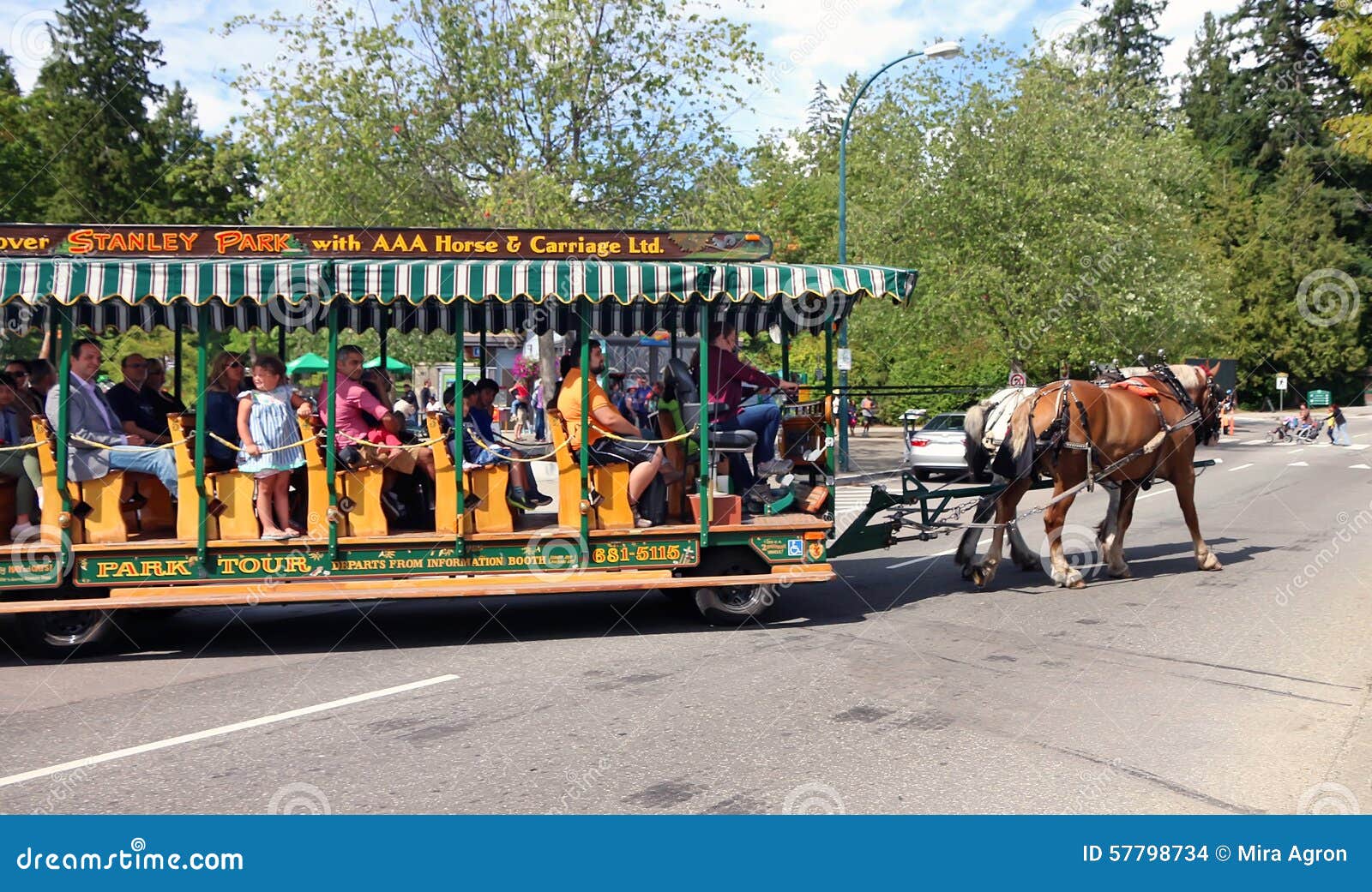 stanley park horse drawn carriage