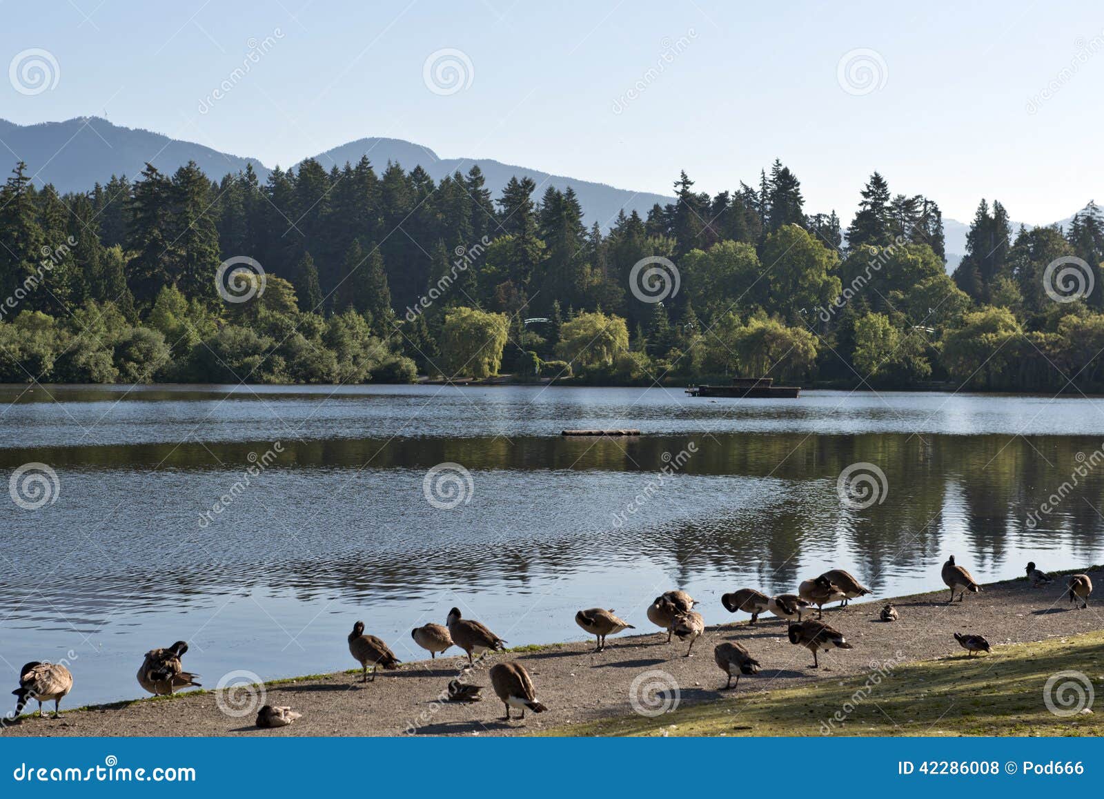 stanley park vancouver canada