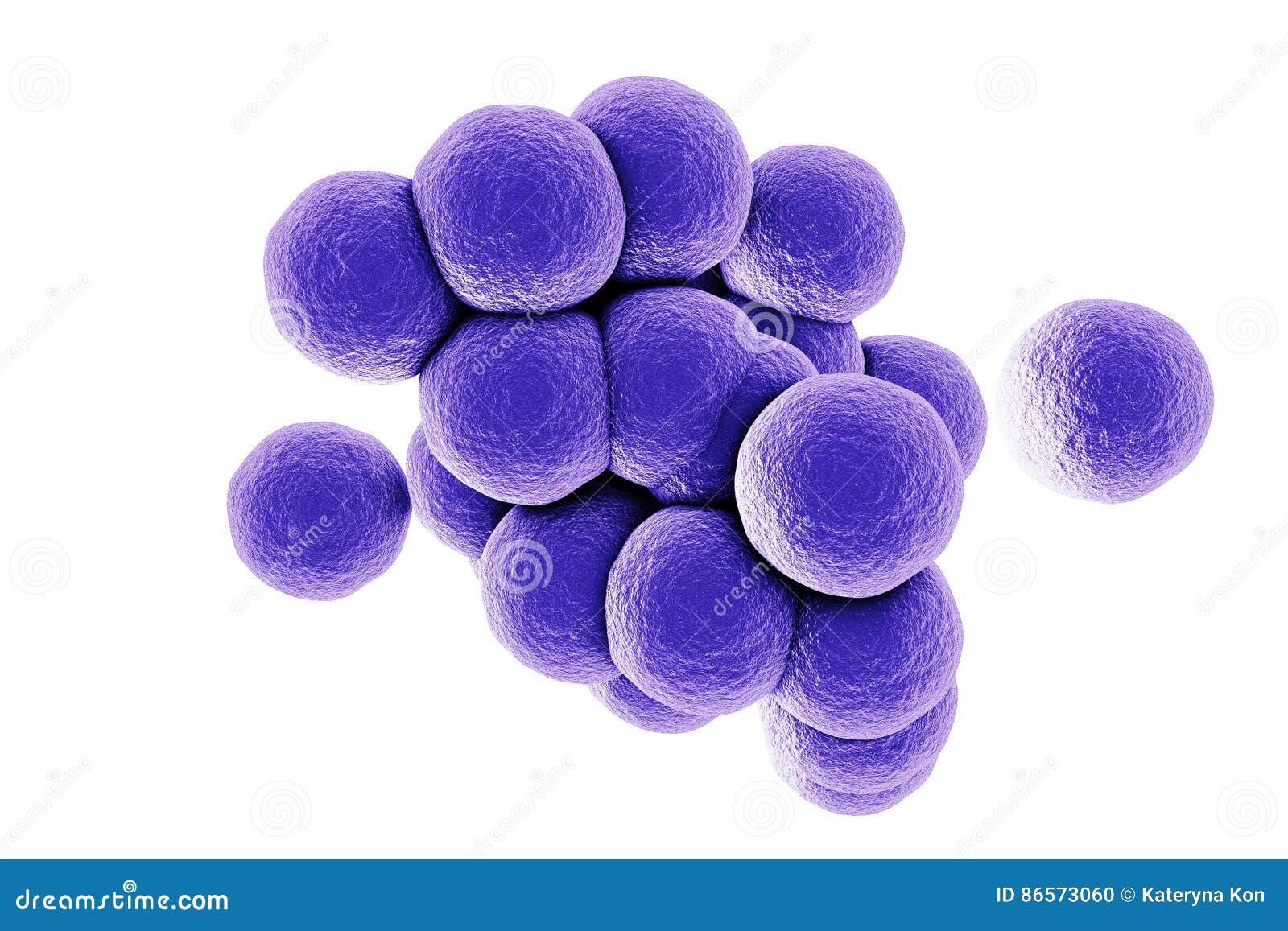 7,848 Staphylococcus Images, Stock Photos, 3D objects, & Vectors