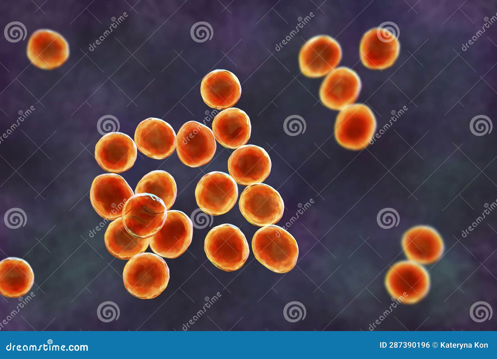 Staphylococcus Bacteria 3D Illustration Stock Illustration staphylococcus-bacteria-3d-illustration-stock-illustration