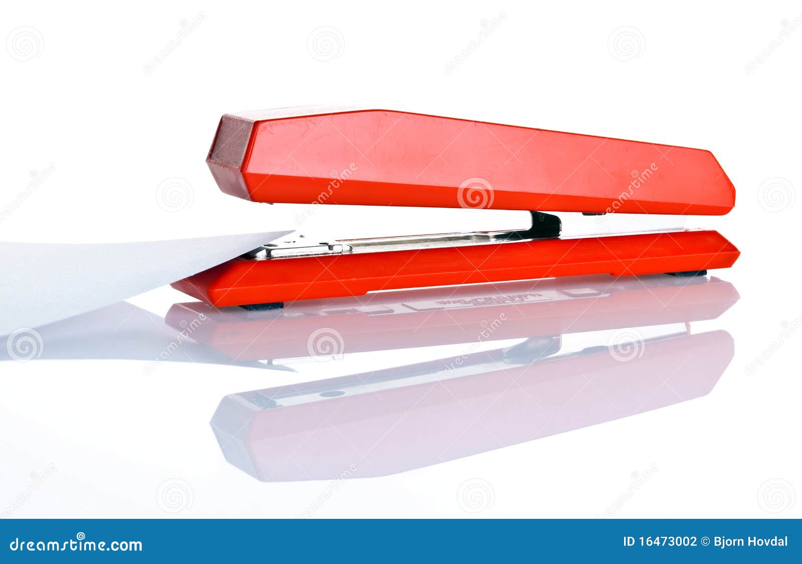 stapler