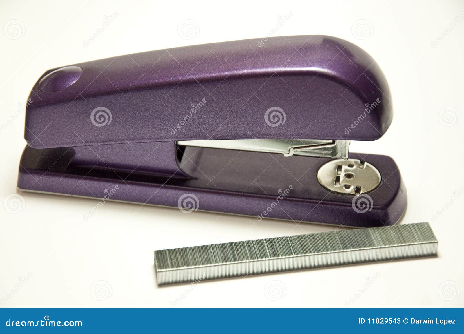 stapler and staples