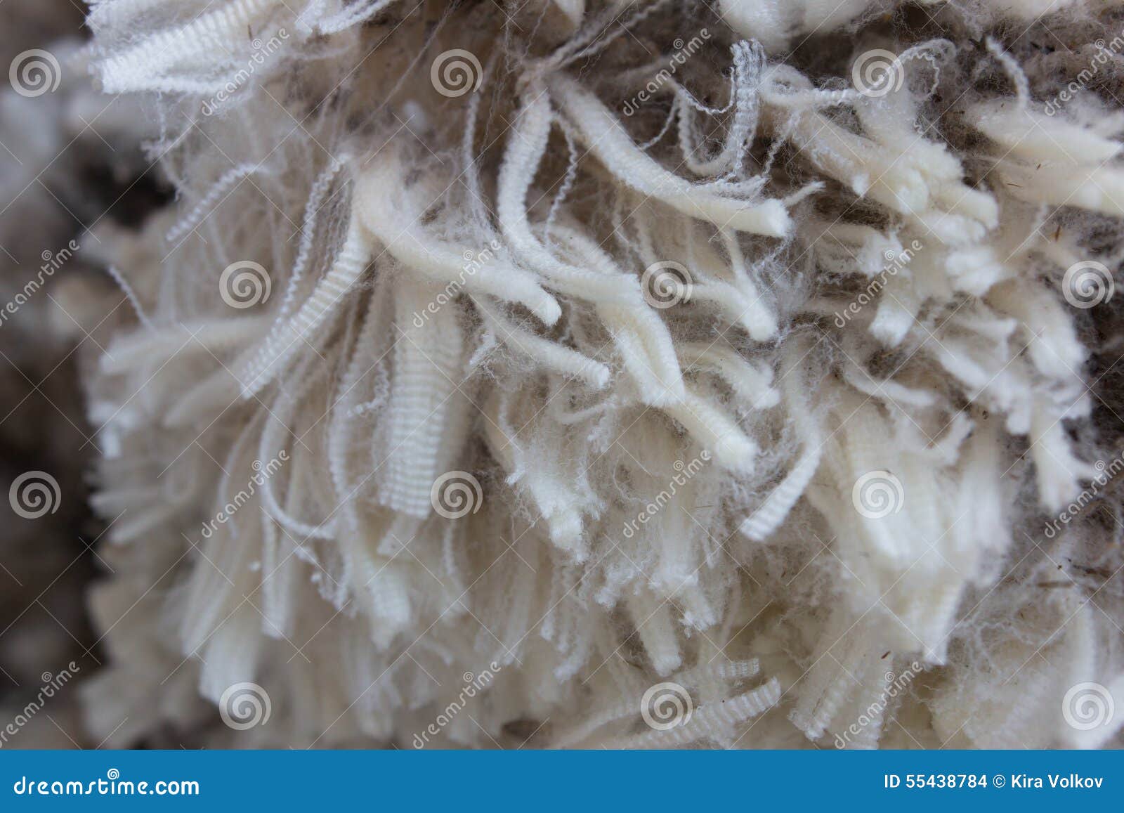 Staples of High Quality Merino Wool Stock Photo Image of fluffy