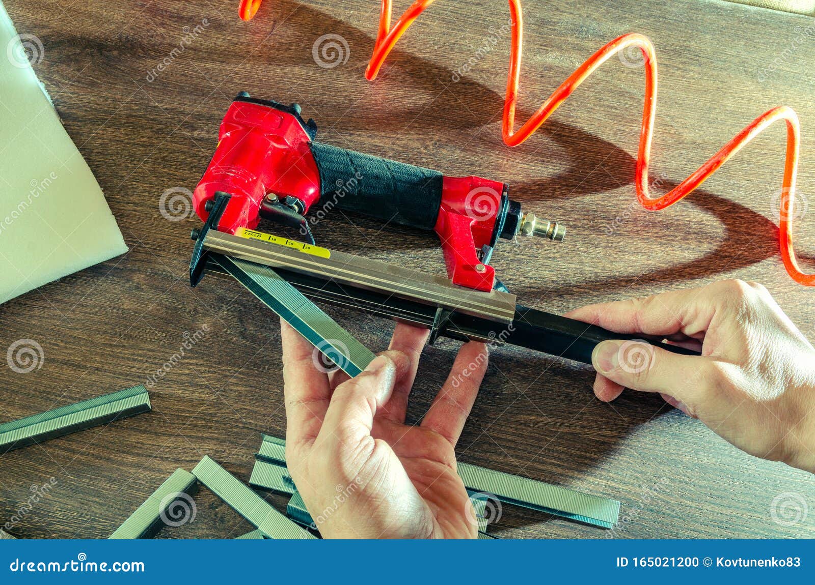 Staples, for a Pneumatic Stapler, in a Carpentry Stock Photo