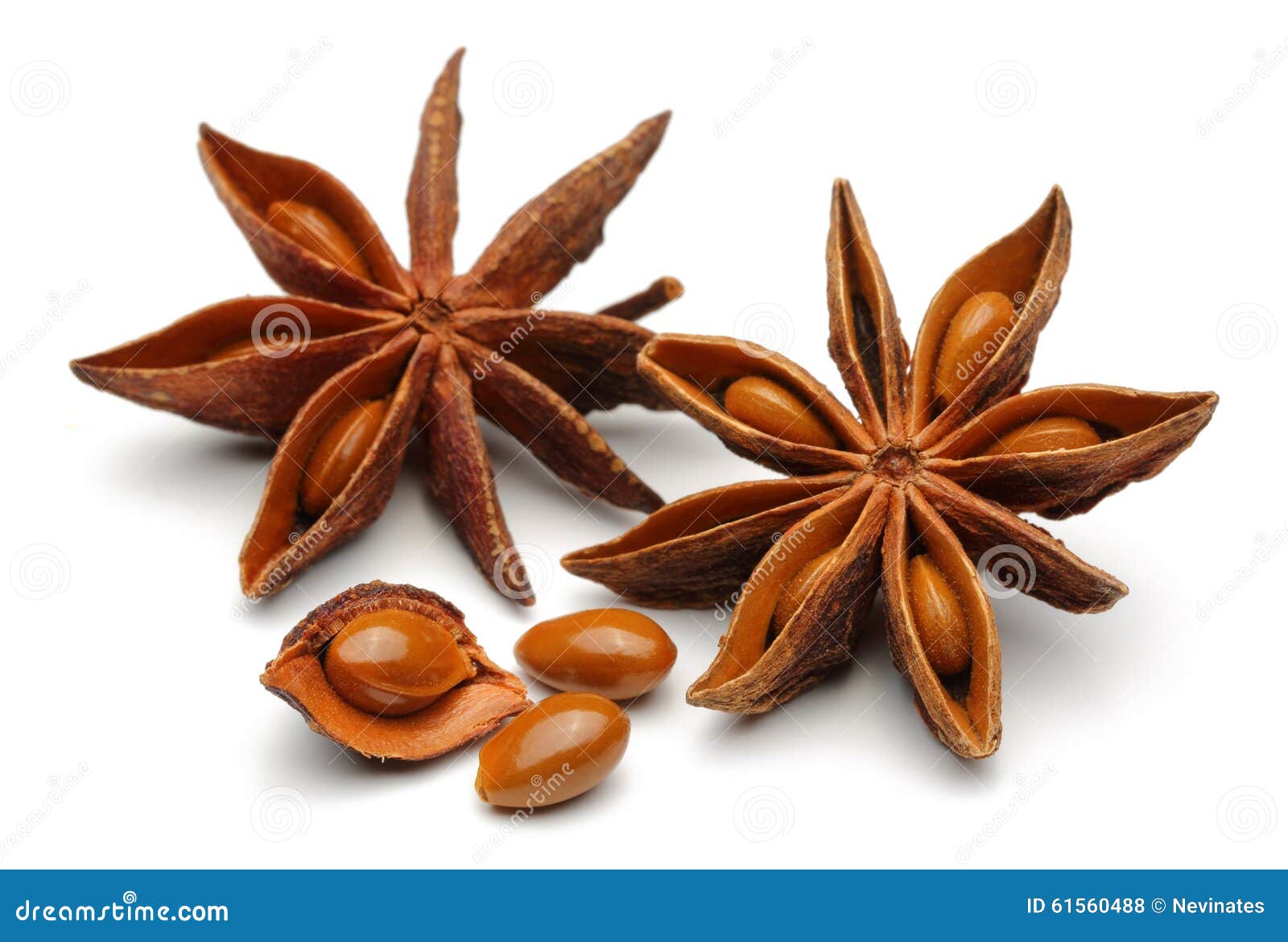 Star anise and aniseed stock photo. Image of anis, especia 61560488