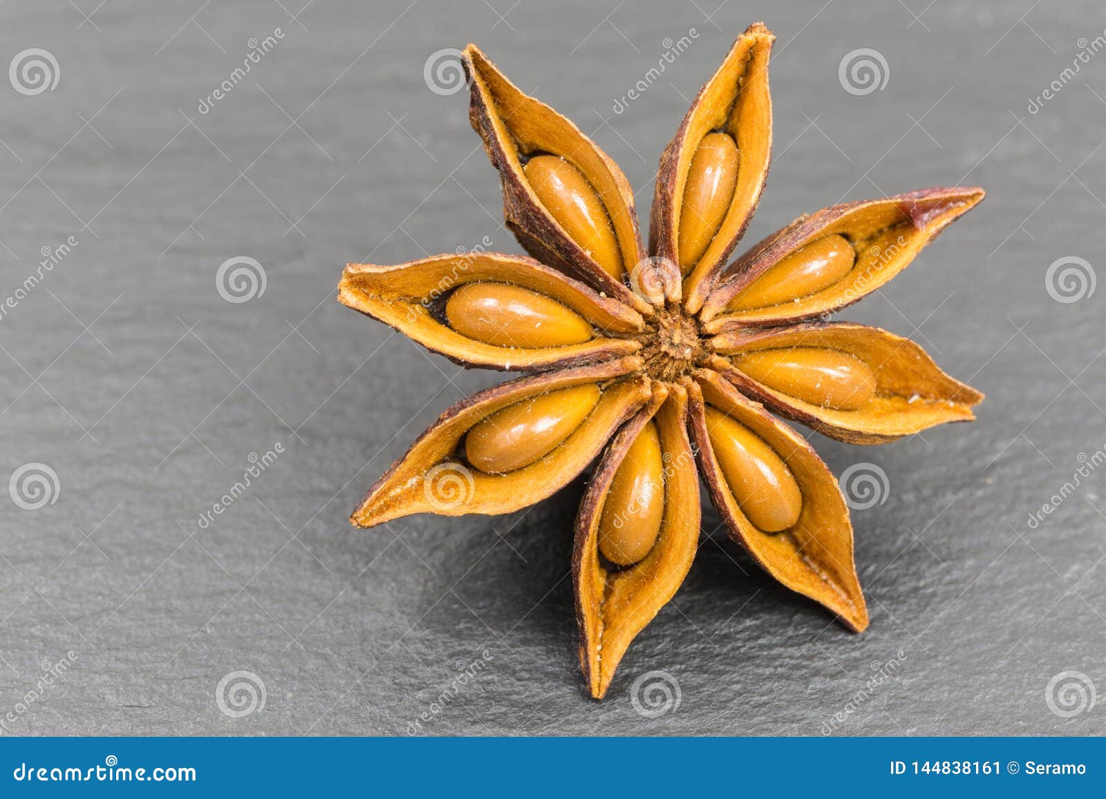 Star anise seed stock image. Image of herb, illicium 144838161