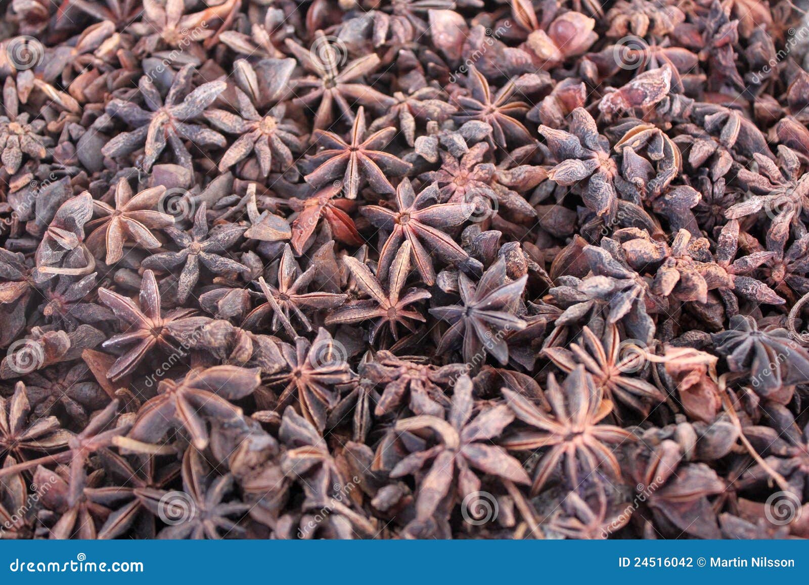 Star anise seeds stock photo. Image of spice, detail 24516042