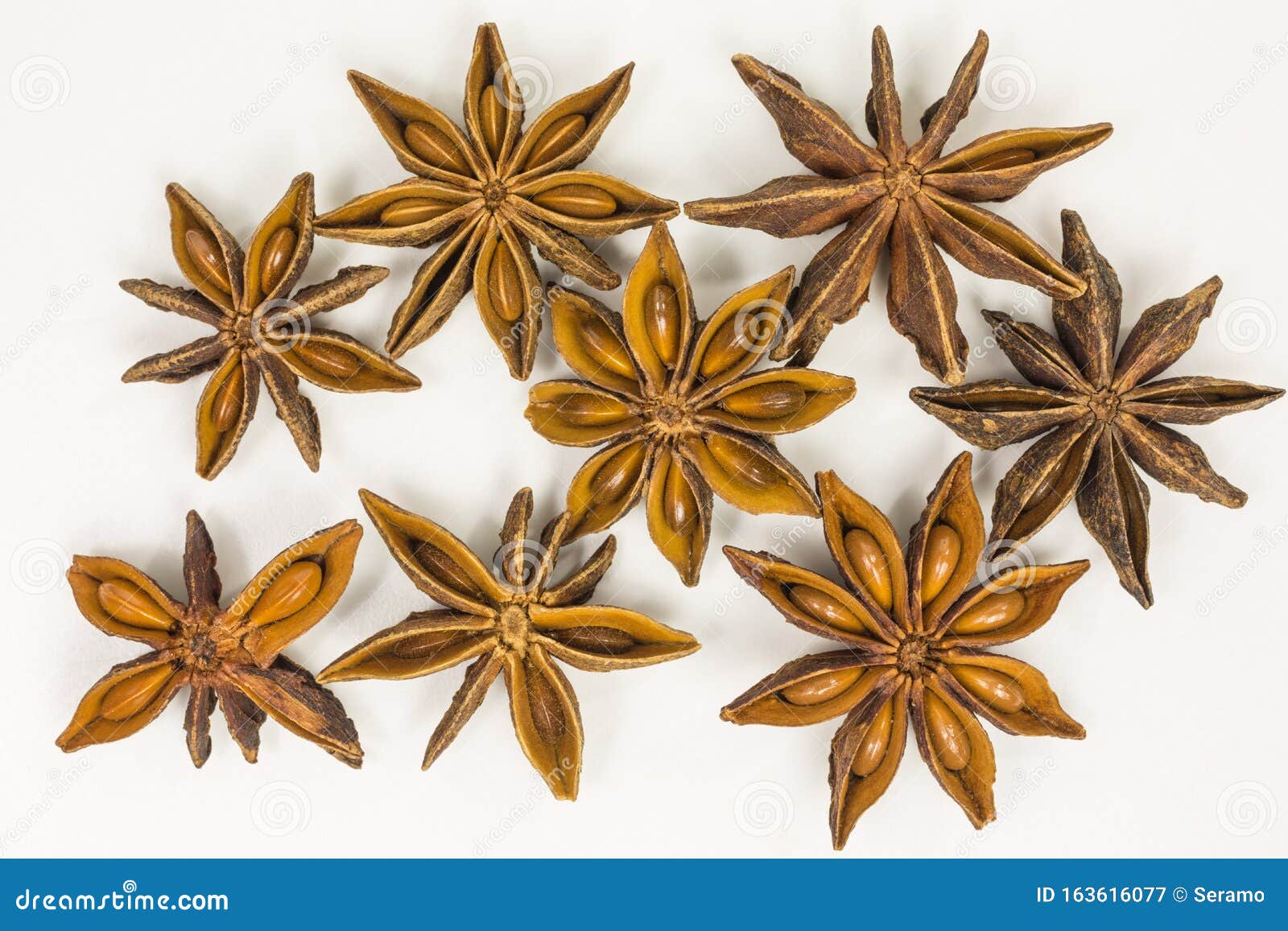 Star anise seeds stock image. Image of verum, aromatherapy 163616077