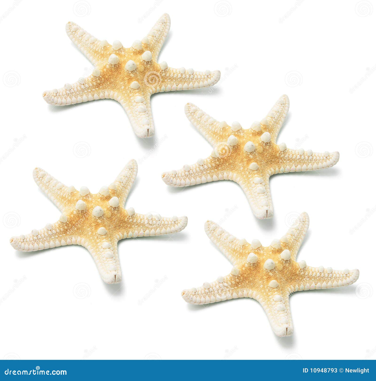 Star Fish stock image. Image of starfish, inverterate - 10948793