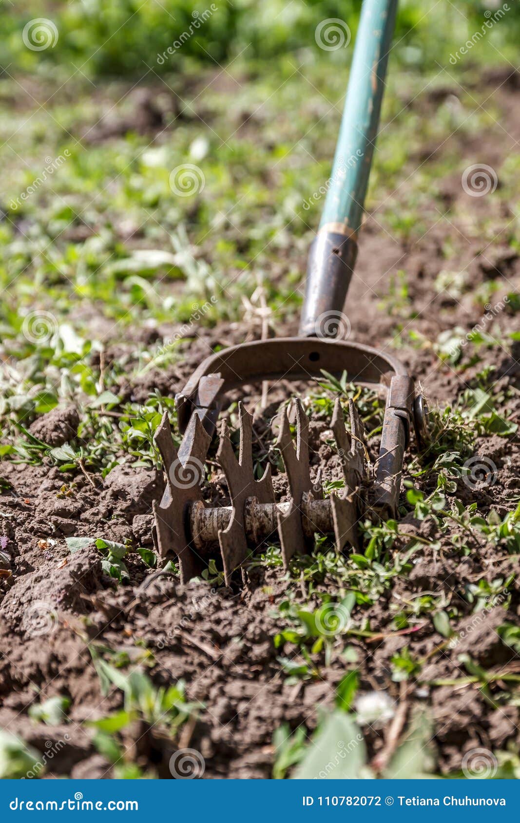 Star Hand Cultivator To Work the Soil, Weed the Garden. the Concept of ...