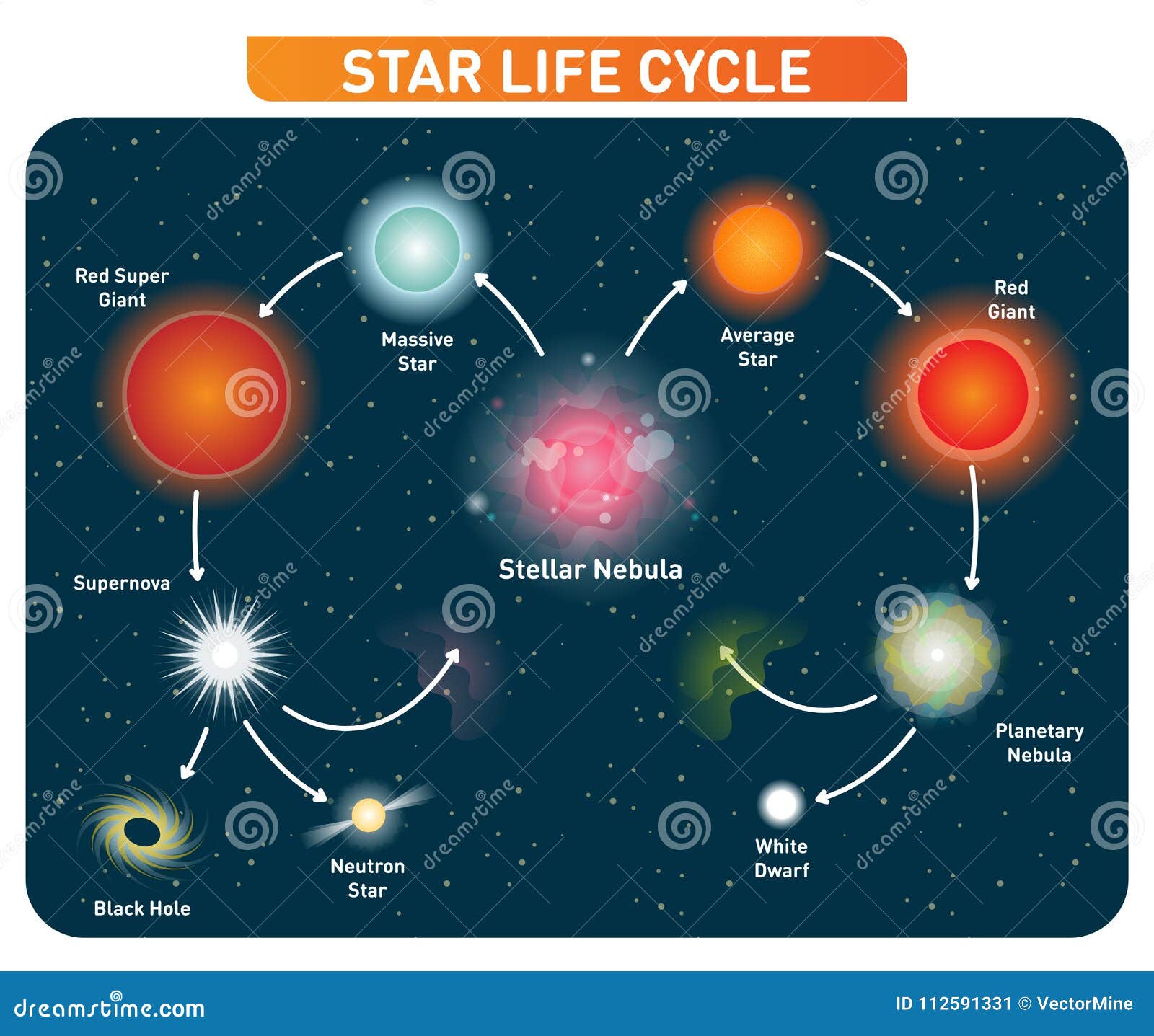 star life cycle steps from stellar nebula to red giant to black hole.   diagram.