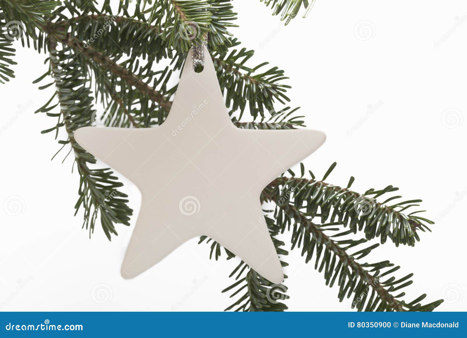 Star Ornament on Christmas Tree Branch Stock Photo Image of holiday