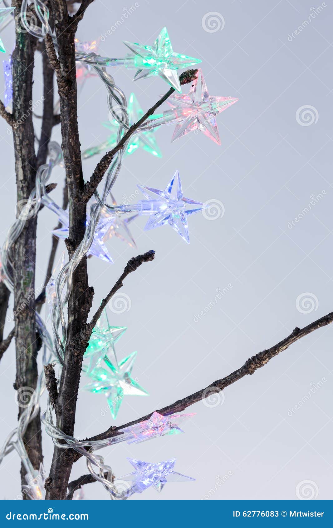Star Shaped Christmas Lights on Bare Twigs Stock Image Image of star