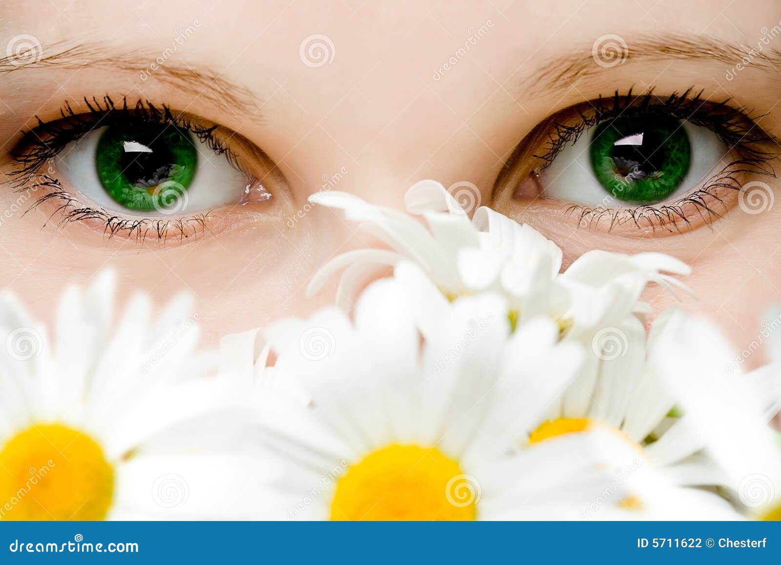 stare of green women eyes