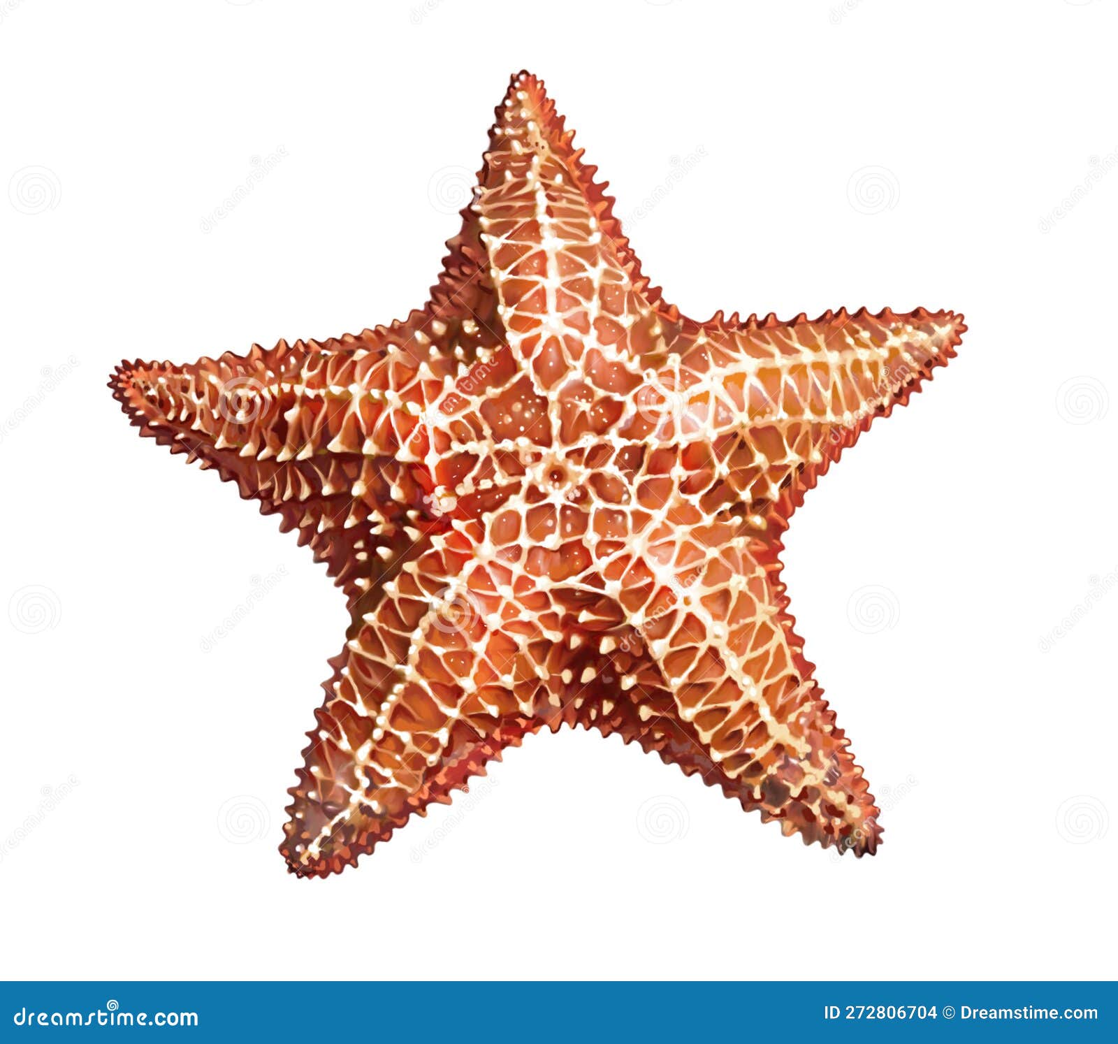 Black white drawing starfish hi-res stock photography and images - Page 4 -  Alamy